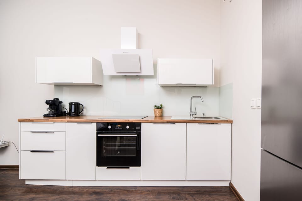 Apartment | Private kitchen | Fridge, oven, stovetop, dishwasher