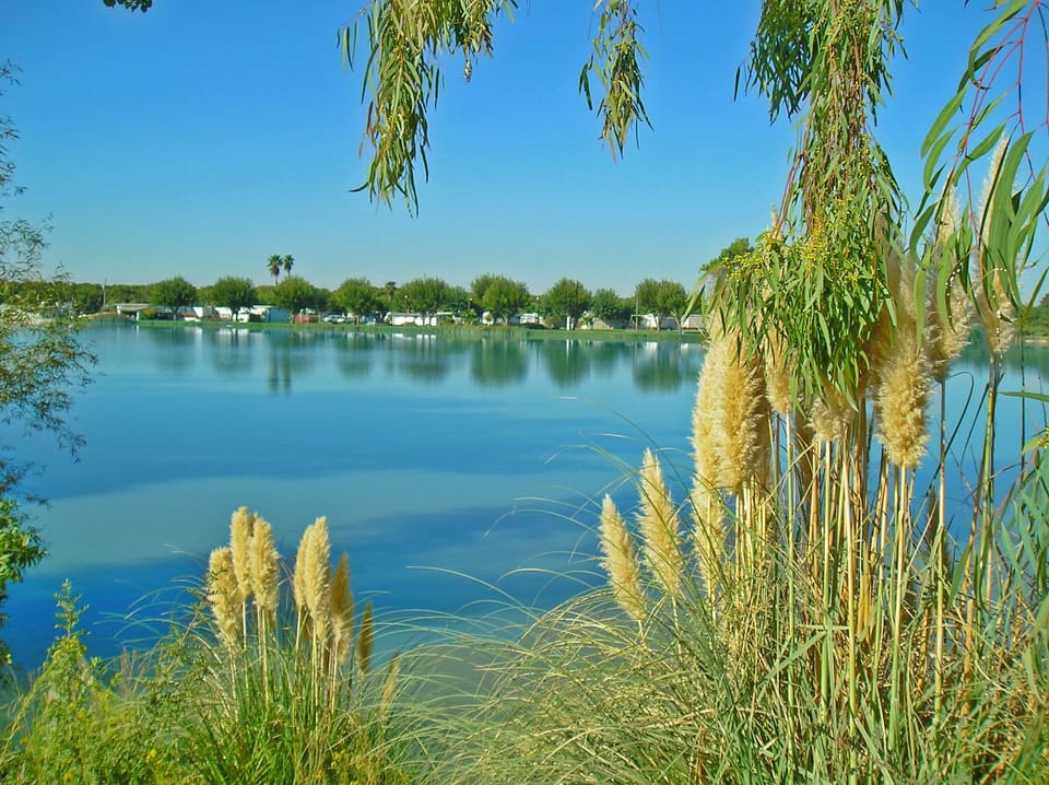 Lake