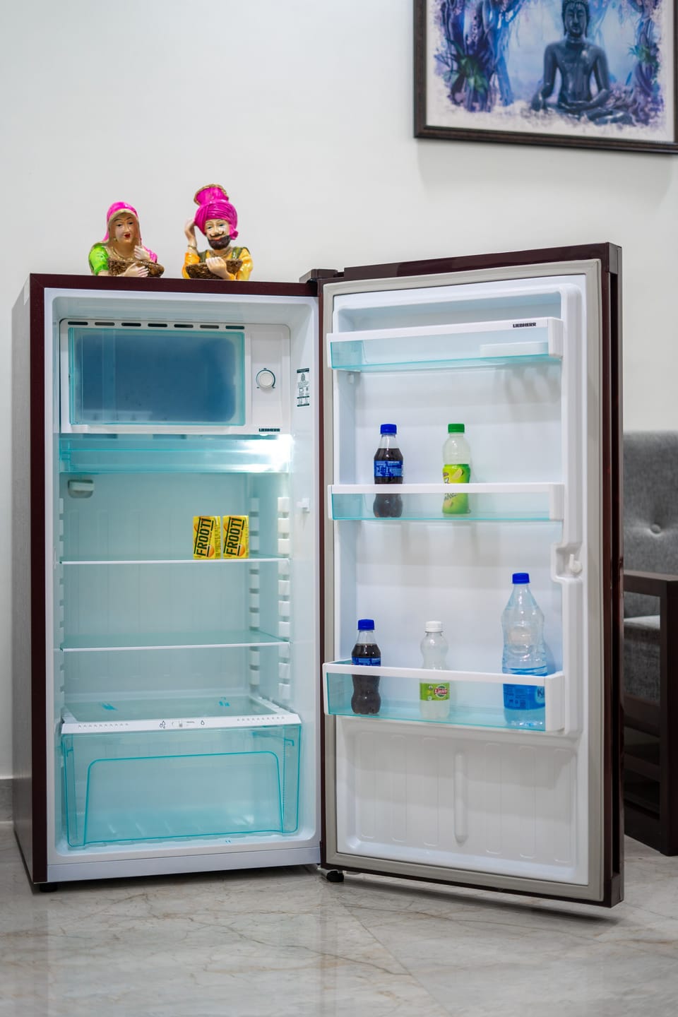Mini-refrigerator