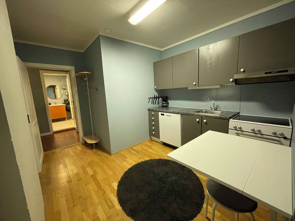 Apartment, 2 Bedrooms, Smoking, City View | Private kitchen