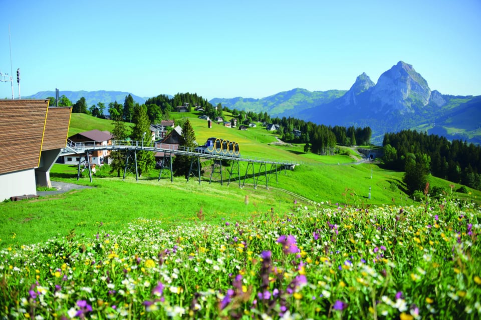 Land view from property