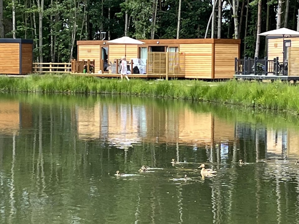 Cabin | Exterior
