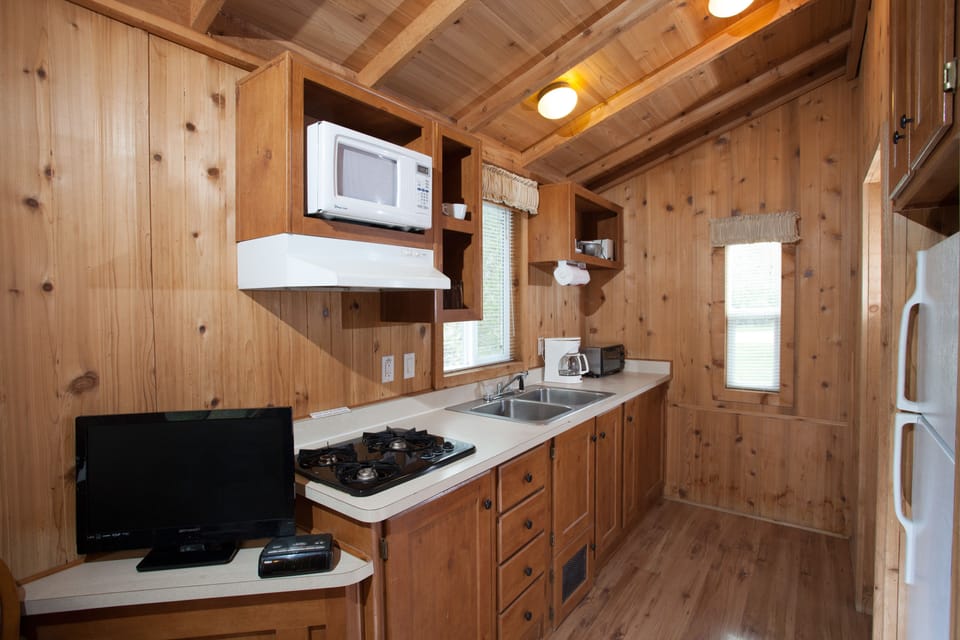 Fridge, microwave, stovetop, toaster