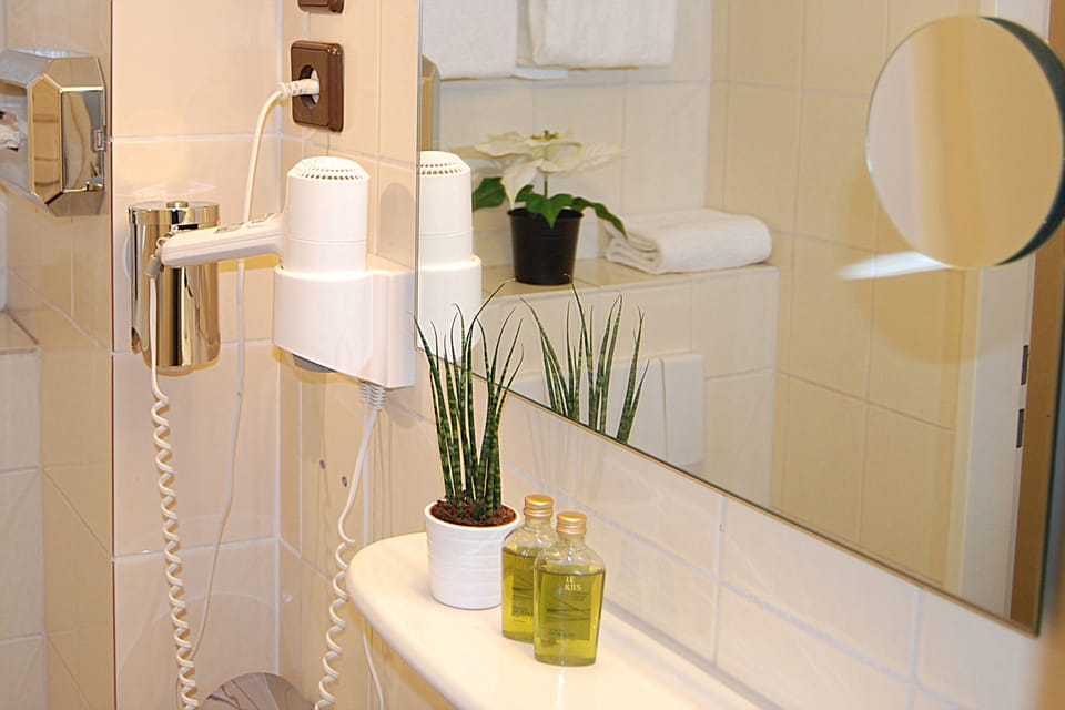 Shower, free toiletries, hair dryer, towels