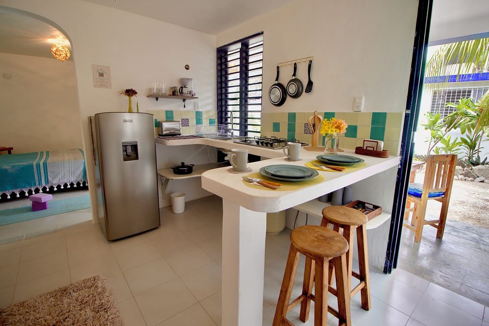 Basic Studio, 1 Queen Bed, Kitchenette, Courtyard View | Private kitchen | Fridge, blender, cleaning supplies, freezer