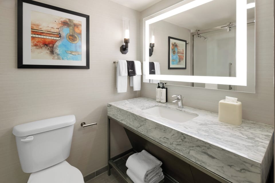 Standard Room, 1 King Bed | Bathroom | Hair dryer, towels, soap, shampoo