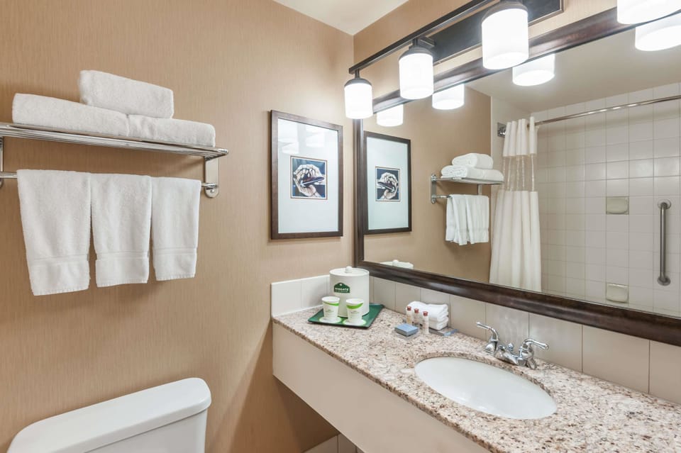 Free toiletries, towels