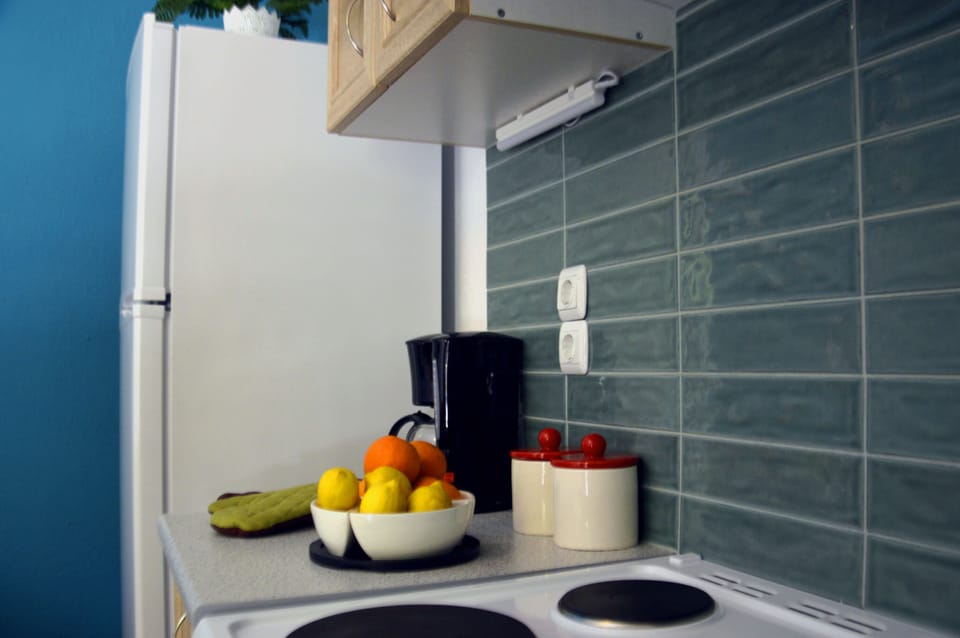 Apartment | Private kitchen | Fridge, oven, stovetop, electric kettle
