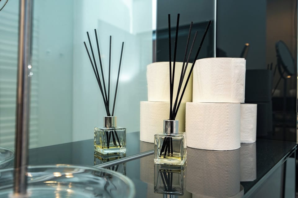 Deluxe Studio | Bathroom | Shower, hair dryer, towels