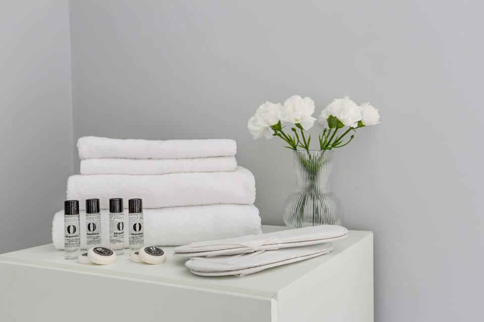 Shower, free toiletries, hair dryer, bidet
