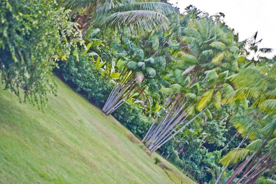 Standard Triple Room, Multiple Beds, Garden View | Aerial view