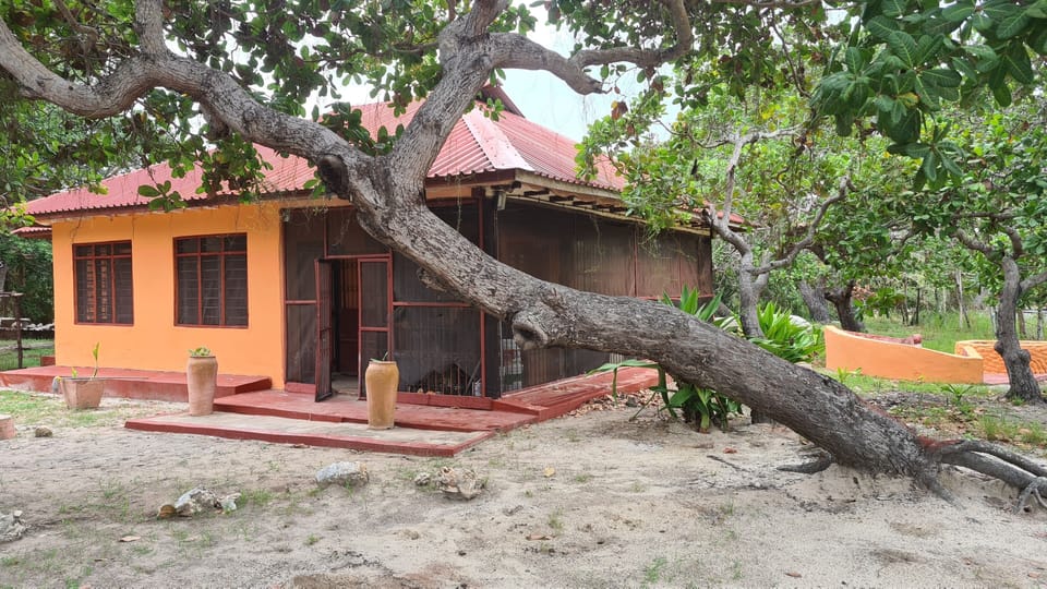 Cottage | Exterior