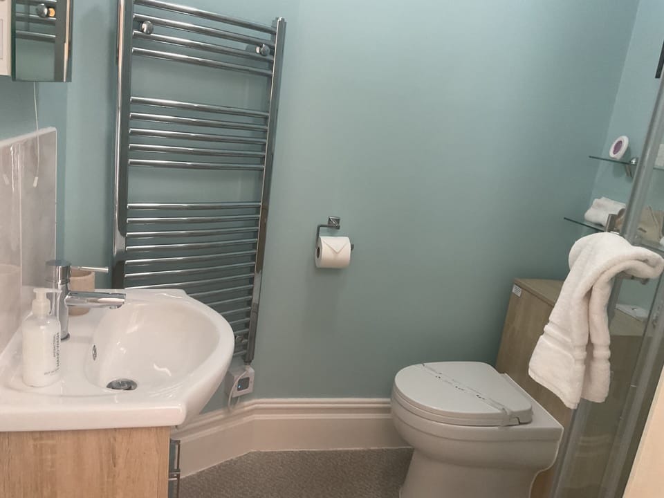 Double or Twin Room, Ground Floor | Bathroom | Shower, free toiletries, hair dryer, towels