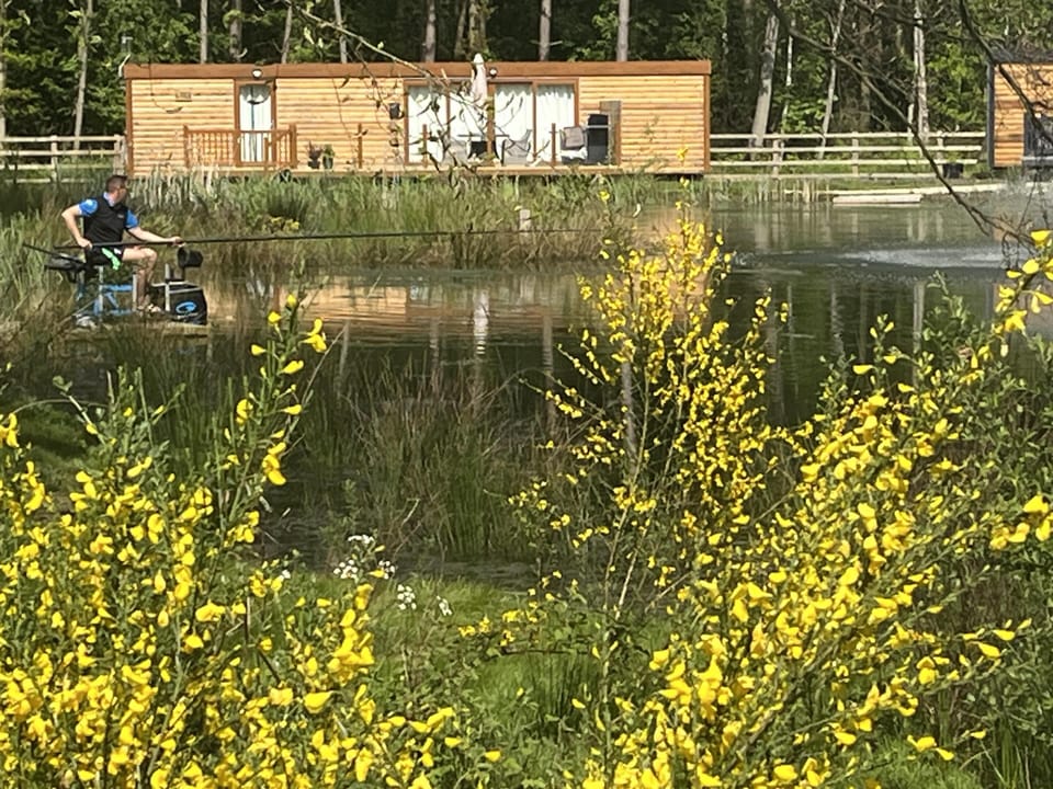 Cabin | Property grounds