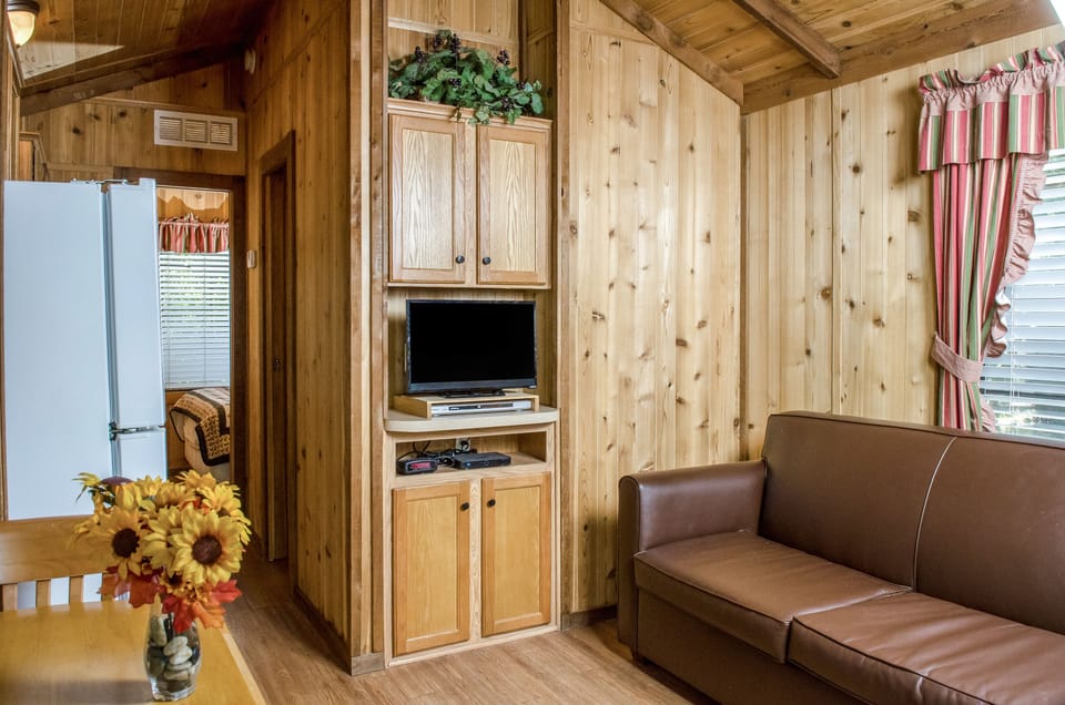 28-inch TV with satellite channels