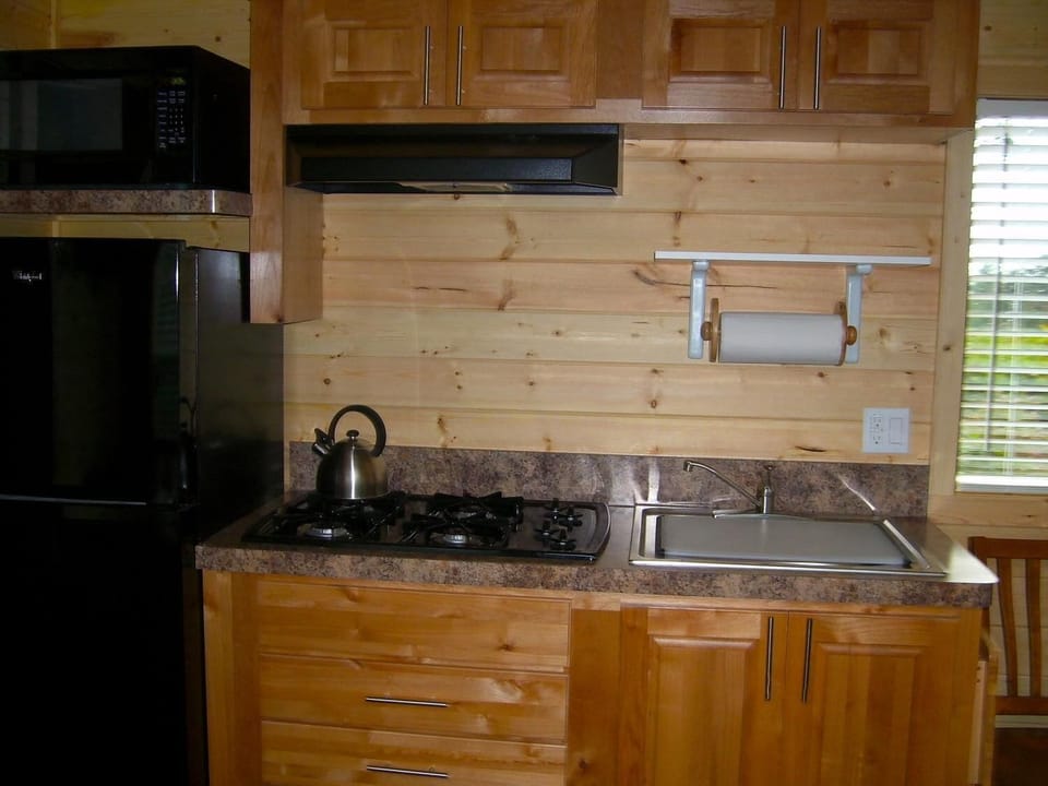 Full-size fridge, microwave, stovetop, coffee/tea maker