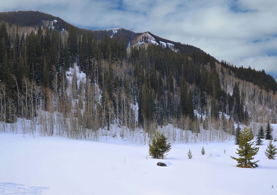 Condo, 2 Bedrooms | Snow and ski sports