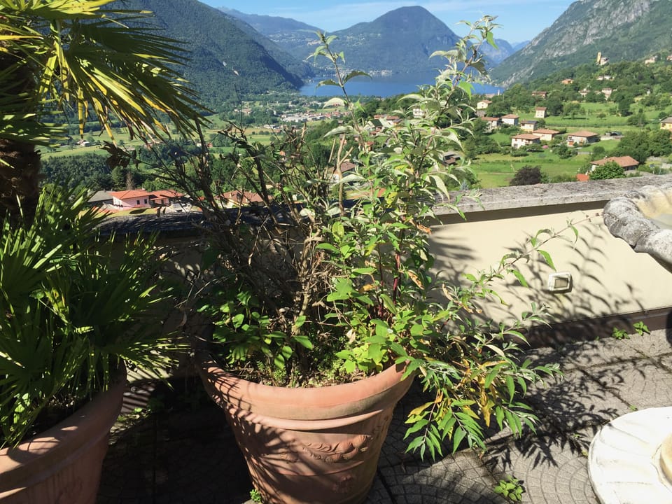 Panoramic Penthouse | Terrace/patio