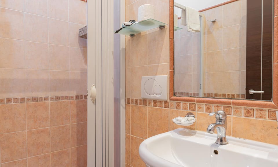 Double or Twin Room | Bathroom | Shower, hair dryer, towels
