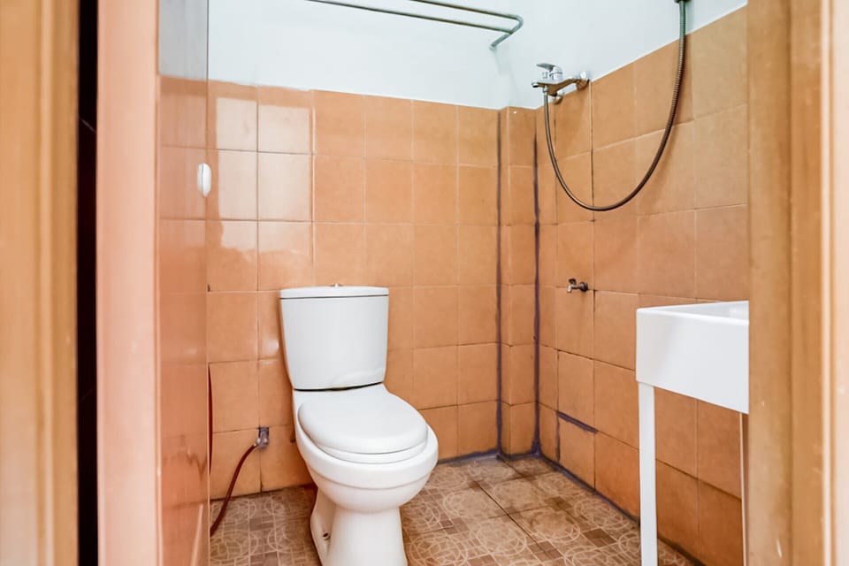 Shower, rainfall showerhead, towels, toilet paper