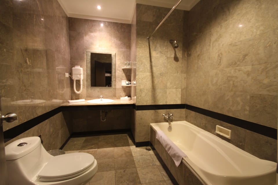 Combined shower/tub, towels