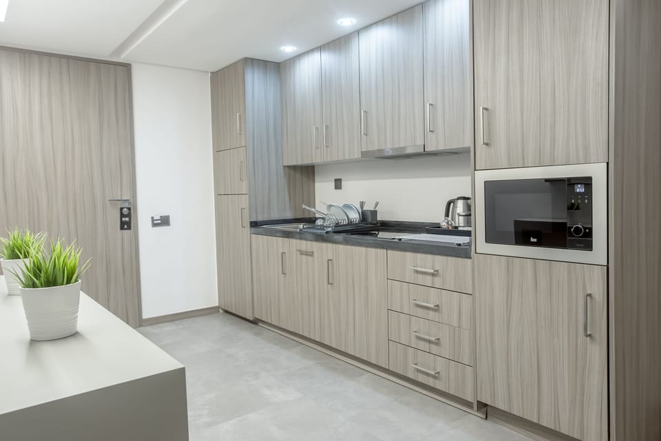 Luxury Apartment | Private kitchen | Full-size fridge, microwave, dishwasher, espresso maker