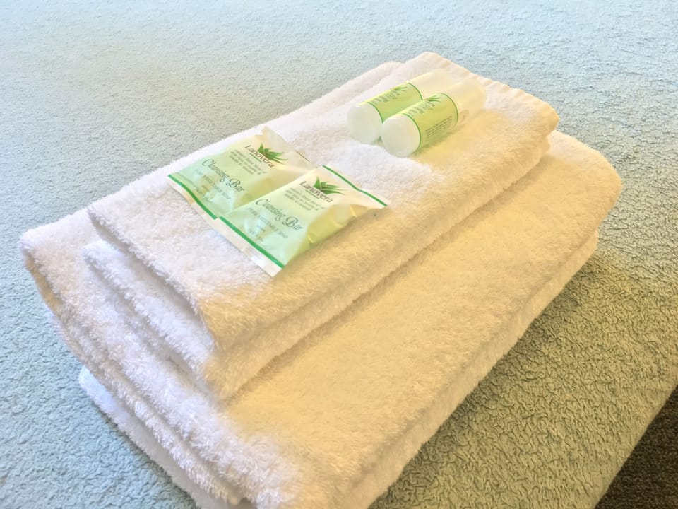 Shower, free toiletries, hair dryer, towels