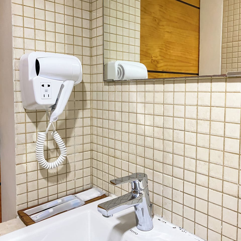 Deluxe Plus | Bathroom | Shower, rainfall showerhead, free toiletries, hair dryer