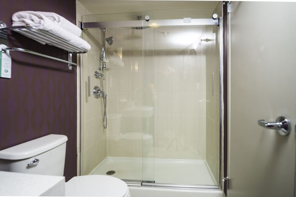 Rainfall showerhead, free toiletries, hair dryer, towels