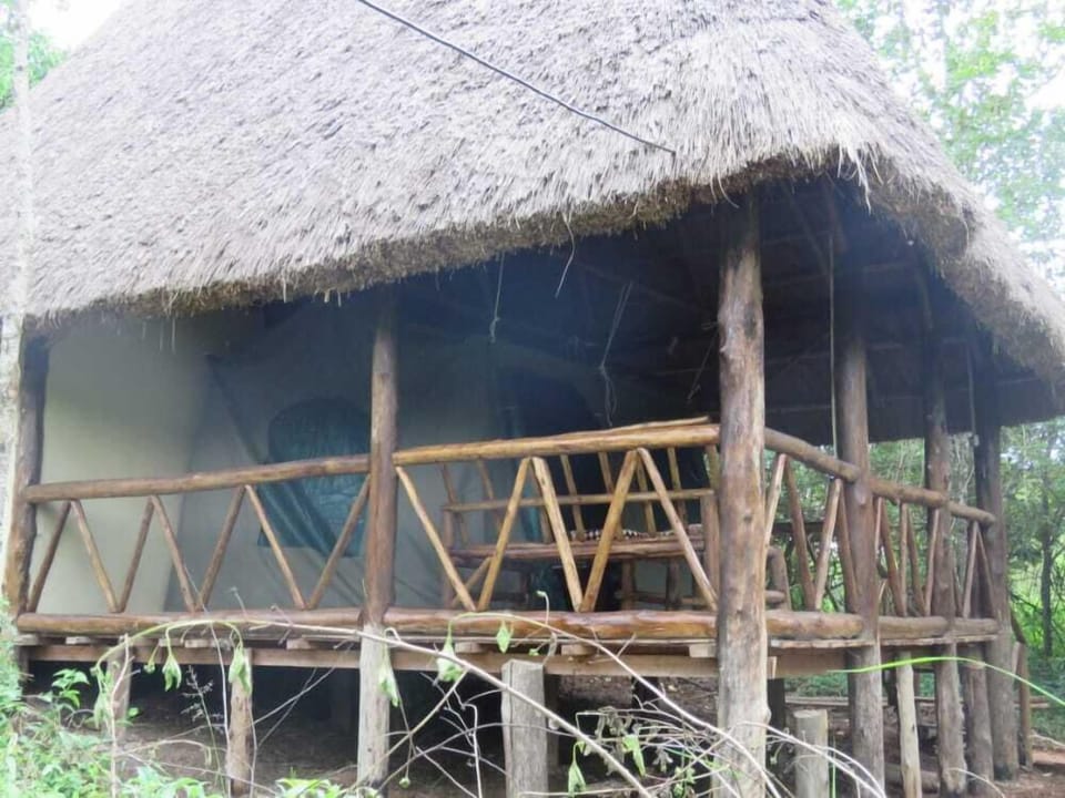 Jungle lodge Kibale Lodge in Uganda