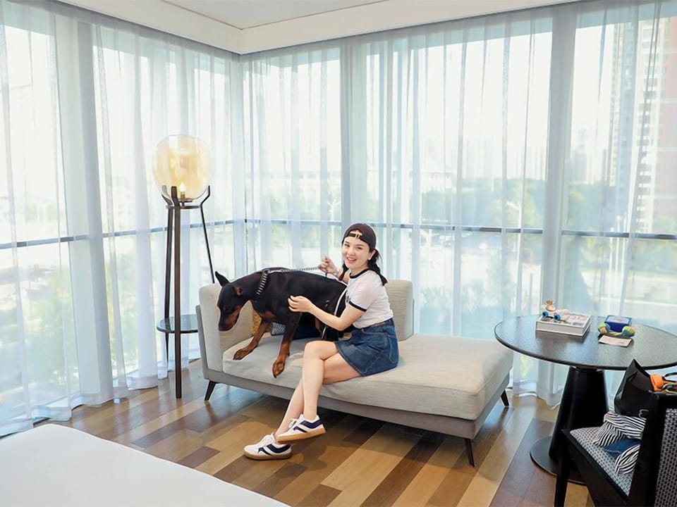 Premium Room, 1 Bedroom, Pets Allowed (Pet Friendly) | Down comforters, pillowtop beds, minibar, in-room safe