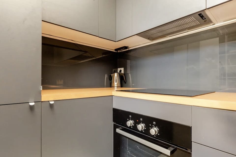 Basic Apartment, 1 Double Bed with Sofa bed | Private kitchen | Fridge, microwave, oven, stovetop
