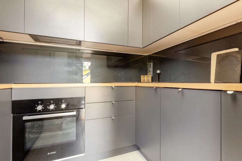 Basic Apartment, 1 Double Bed with Sofa bed | Private kitchen | Fridge, microwave, oven, stovetop