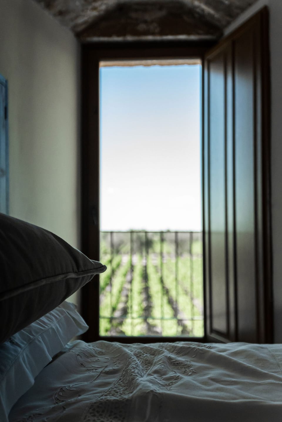 Luxury Room, Vineyard View, Tower | View from room