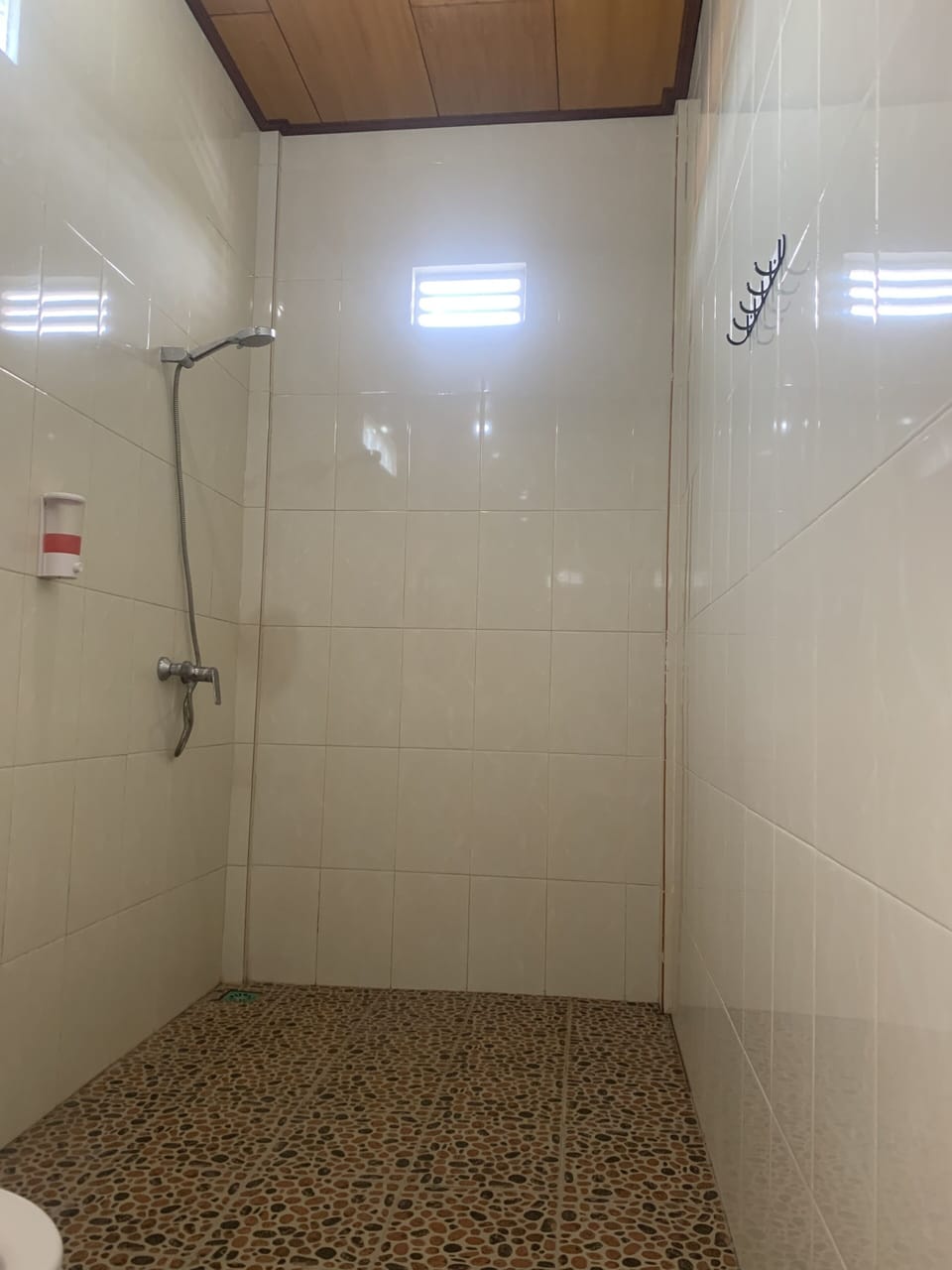 Shower, towels, soap, toilet paper