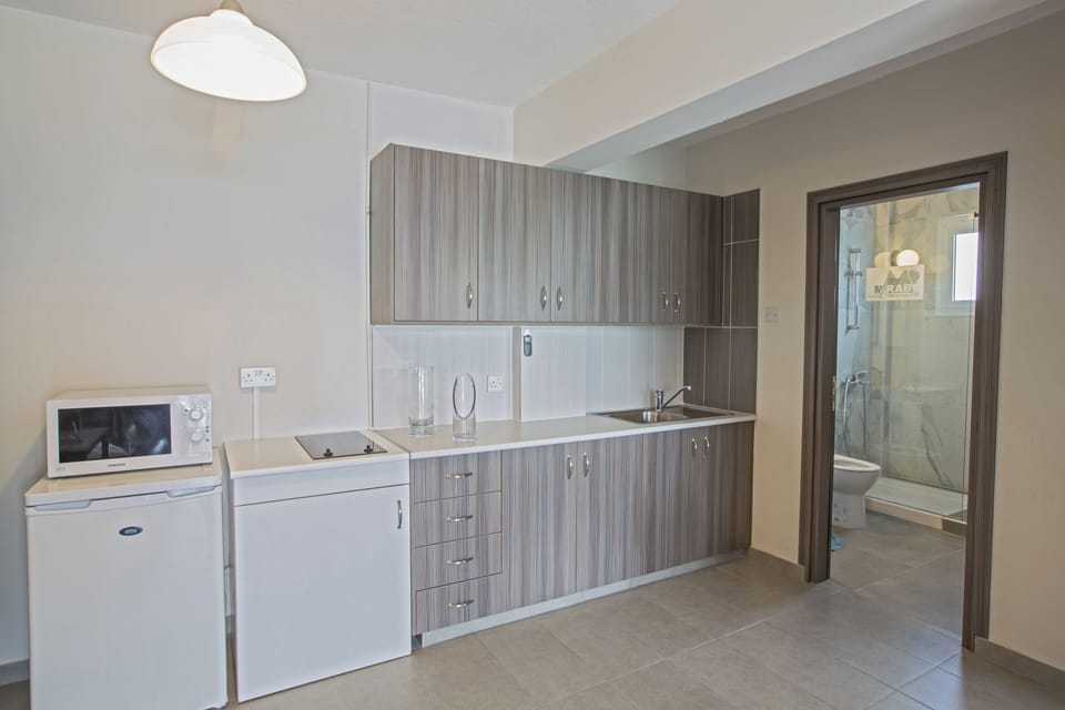 Apartment, 1 Bedroom, Balcony, City View | Private kitchen