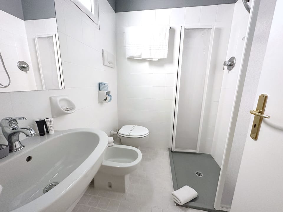 Shower, hair dryer, bidet, towels