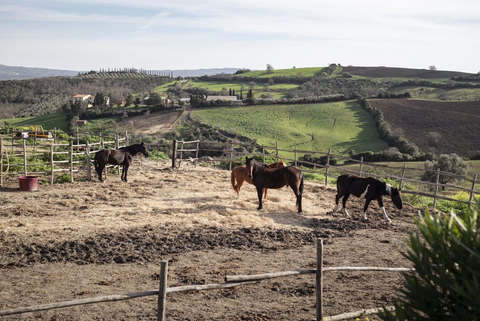 Land view from property