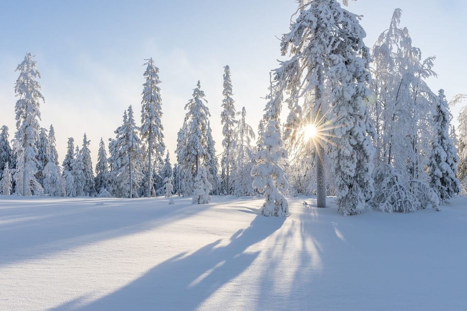 Snowshoeing