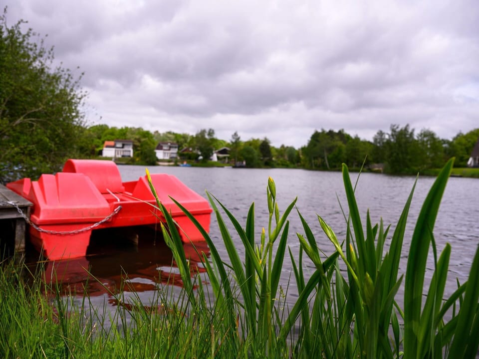 House With Sauna, Outdoor spa and Pedal Boat House in Vlagtwedde