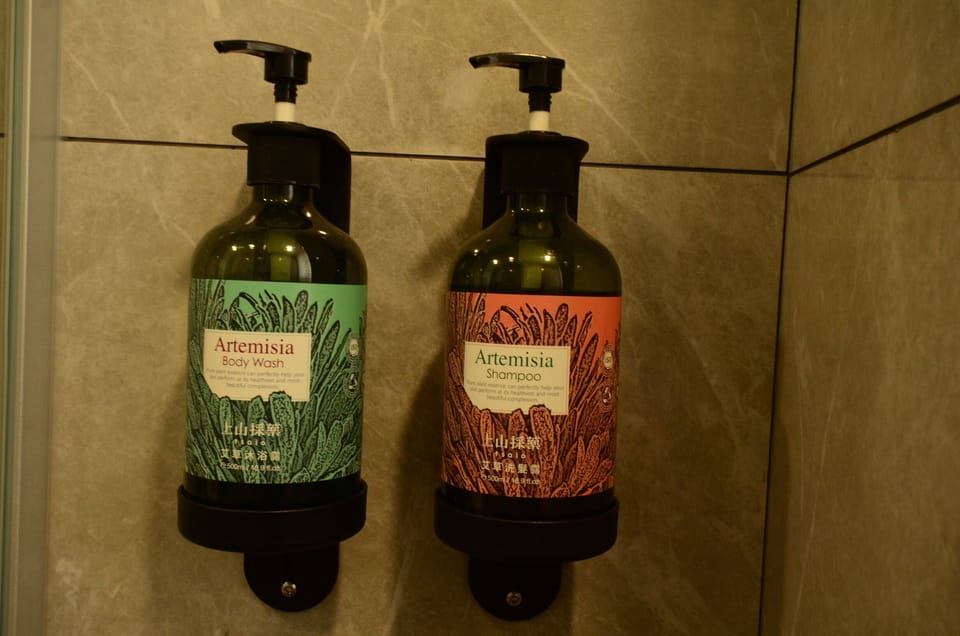 Shower, hair dryer, electronic bidet, soap