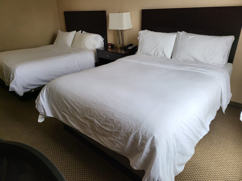 Premium bedding, in-room safe, desk, blackout drapes