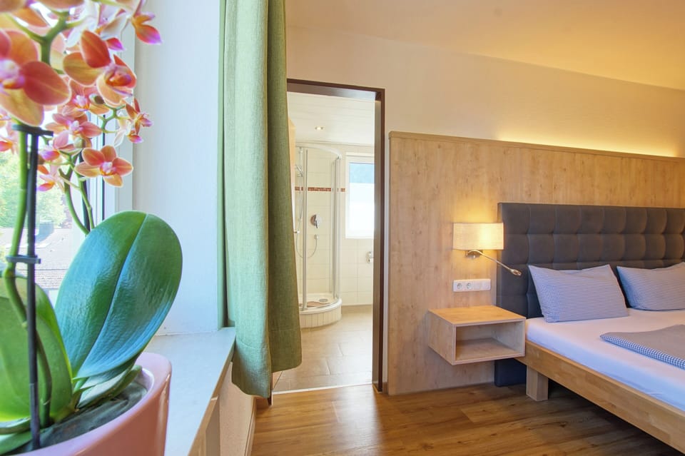 Comfort Double Room, 1 Bedroom | Hypo-allergenic bedding, desk, blackout drapes, free cribs/infant beds