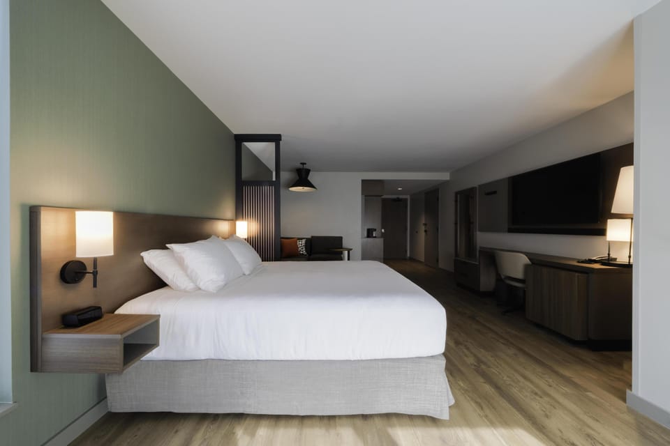 Room, 1 King Bed with Sofa bed, Accessible (Roll-In Shower) | Premium bedding, in-room safe, blackout drapes, iron/ironing board
