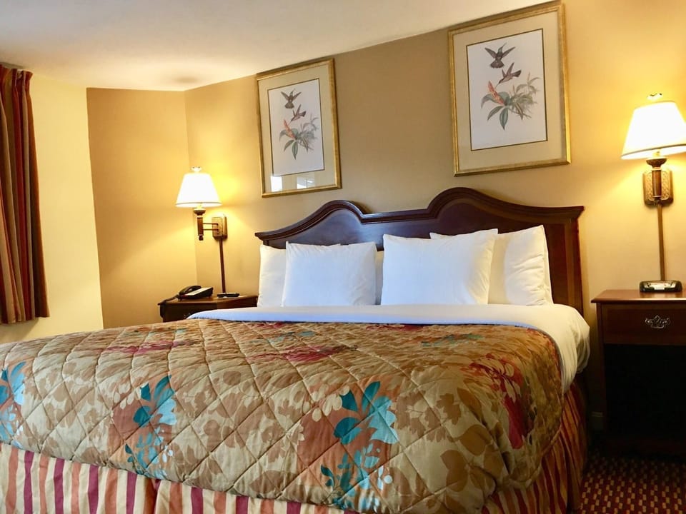 Standard Room, 1 King Bed, Non-Smoking | Living room | 40-inch LED TV with cable channels, TV