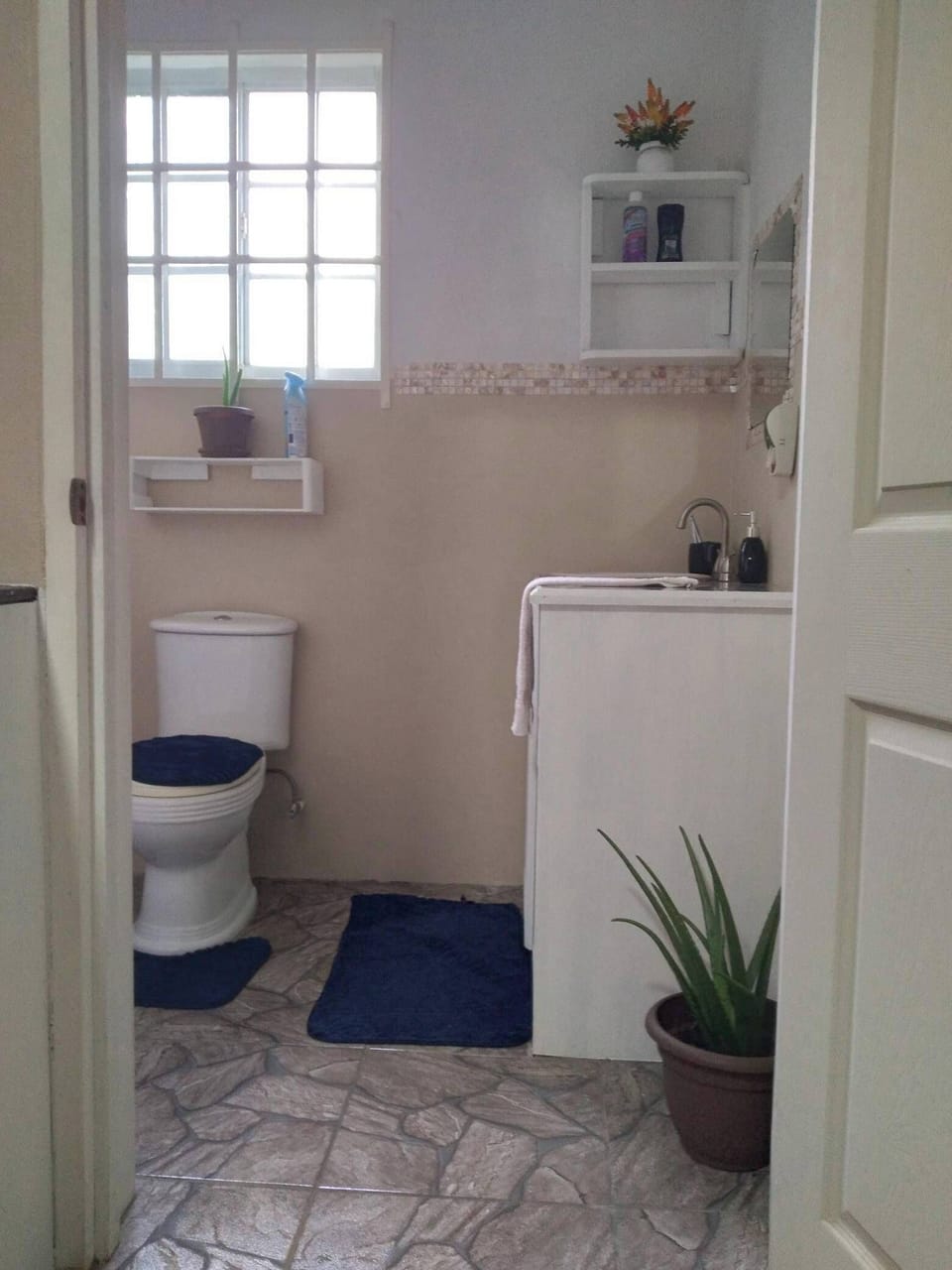 Beautiful 1-bed Apartment in Saint George's Apartment in Saint Georges
