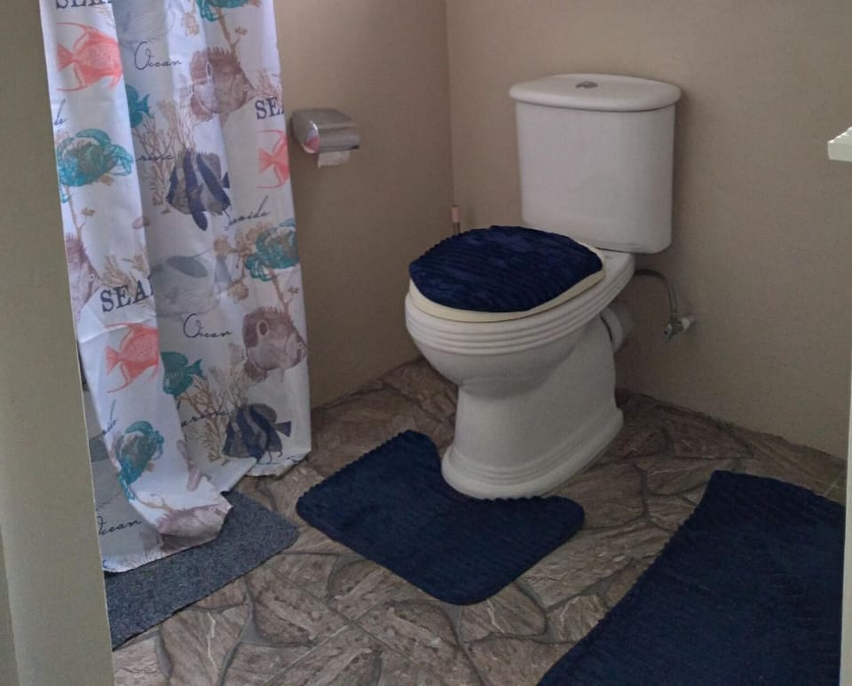 Beautiful 1-bed Apartment in Saint George's Apartment in Saint Georges