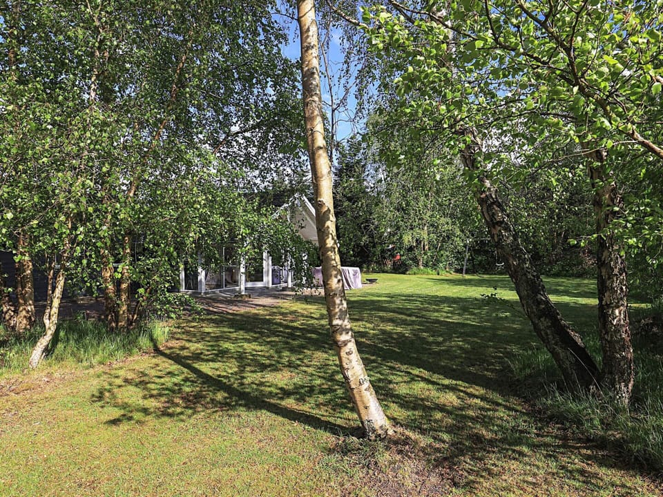 House | View from property