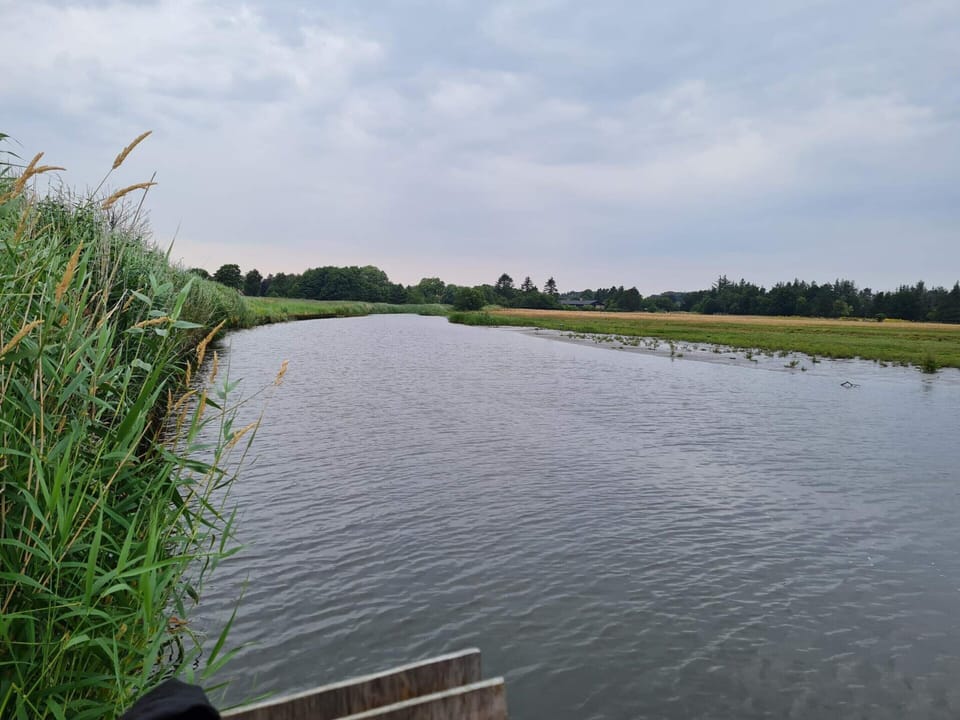 House | Water view