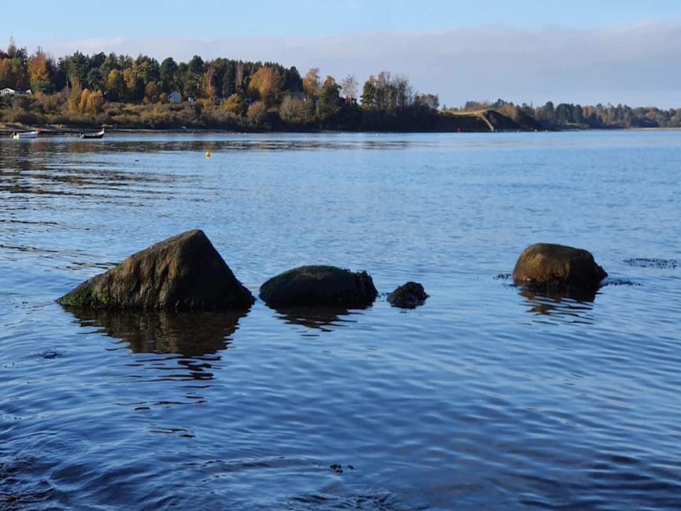 House | Water view
